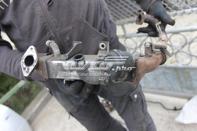8200620695 RENAULT купить в Житомир