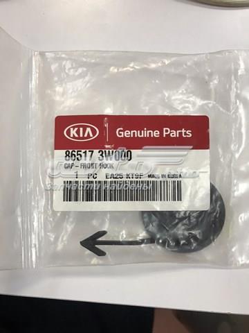 865173W000 HYUNDAI Заглушка буксировочного крюка купить в Харьков