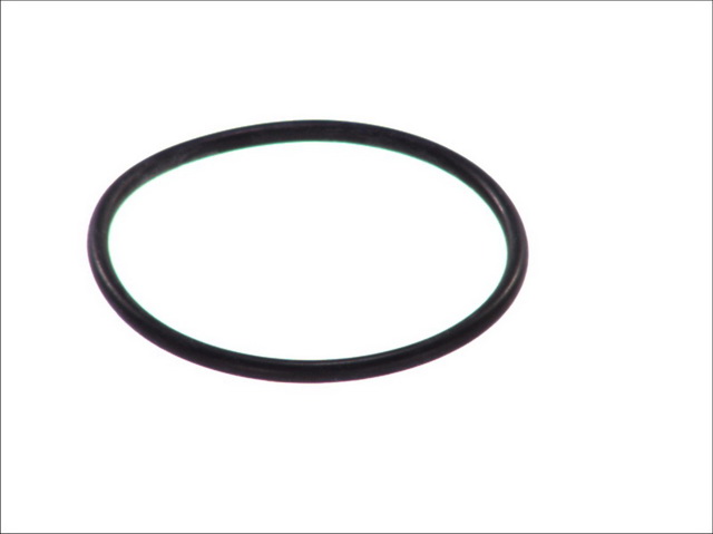 Уплотнительное кольцо термостата 10258