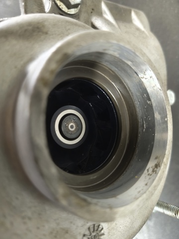 GM 12630084 Помпа в наличии Украина