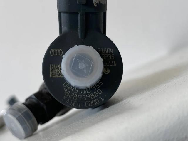 Форсунка инжектора 0445110955 PEUGEOT