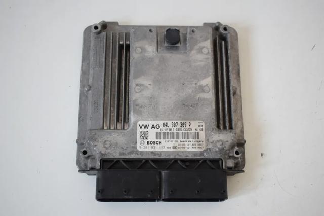 04L907309P VAG Модуль управления (ЭБУ) двигателем купить в Николаев