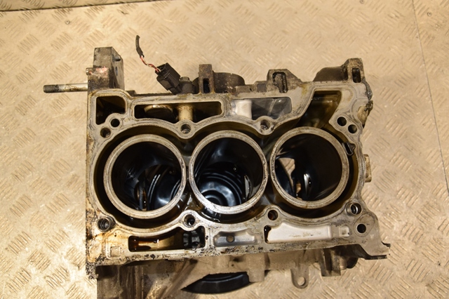 RENAULT 110116559R Двигатель в сборе в наличии Каменское