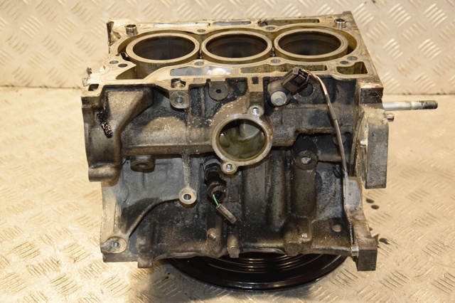 RENAULT 110116559R Двигатель в наличии Днепр