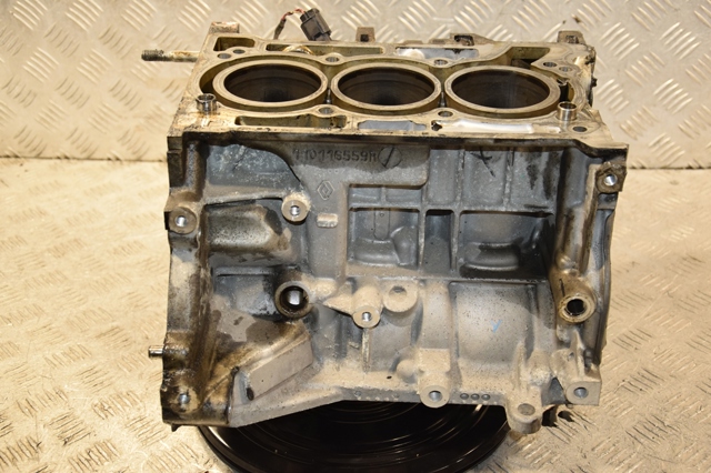 RENAULT 110116559R Двигатель в наличии Ужгород