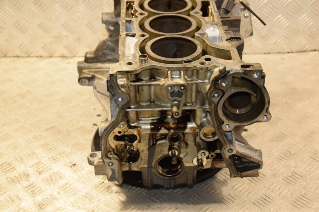 110116559R RENAULT Двигатель купить в Одесса