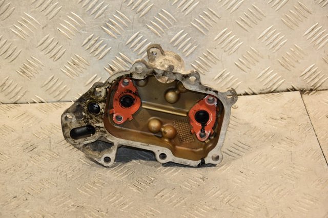 504086470 FIAT купить в Запорожье