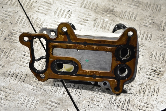 70310369 BMW купить в Каменское