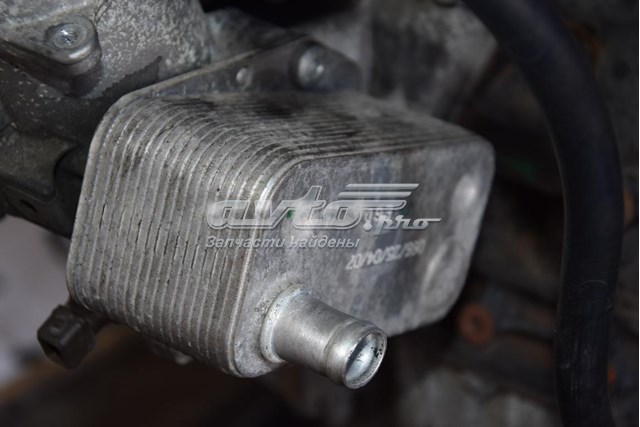 7787698 BMW Радиатор масляный купить в Николаев