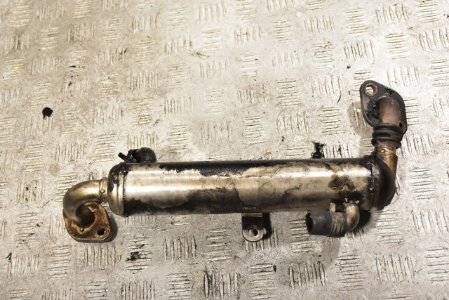 8973635151 купить Ужгород