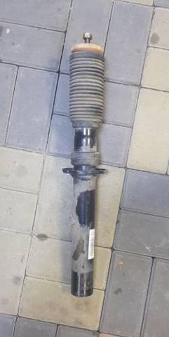 Амортизатор передней подвески 31316851747 BMW