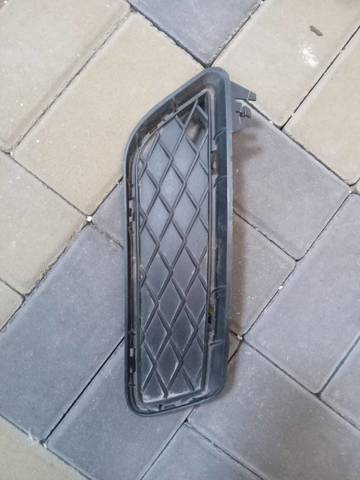 Решетка бампера переднего левая 51117210469 BMW