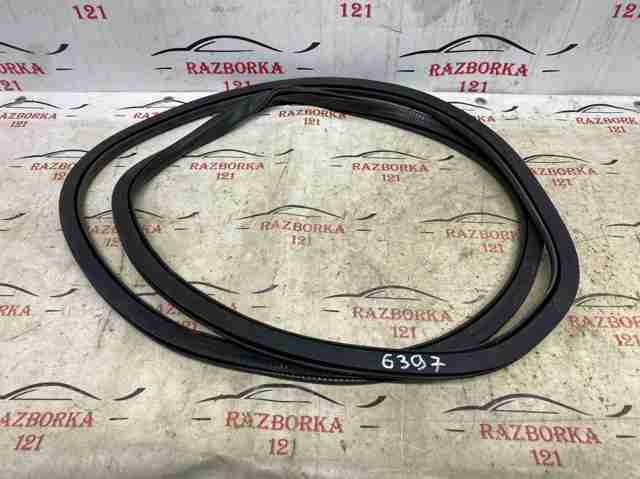 Уплотнитель двери передней, на (кузове) FT4Z5820708B FORD