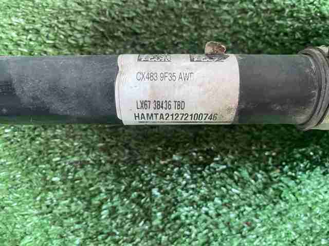 FORD LX673B436 в наличии Николаев