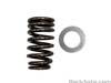 + доставка  valve spring 1601642SSA