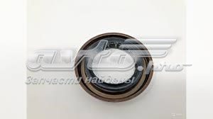 CHRYSLER 68227807AB в наличии Ровно