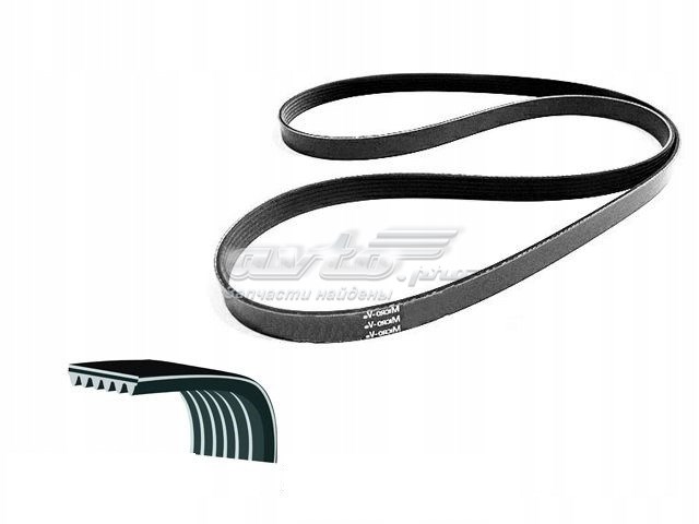 DAYCO 6PK2504 Ремень агрегатов приводной в наличии Сумы