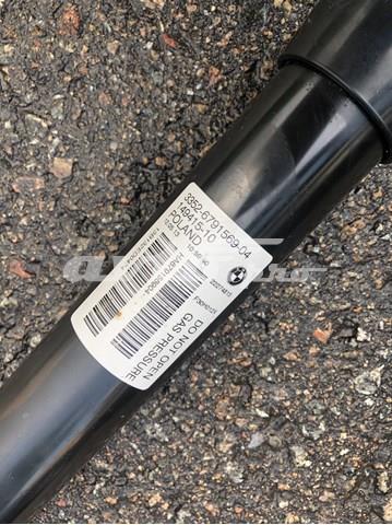 33526874377 BMW Амортизатор задний купить в Николаев