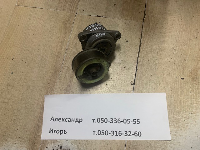 119556N202 NISSAN Натяжитель приводного ремня купить в Чернигов