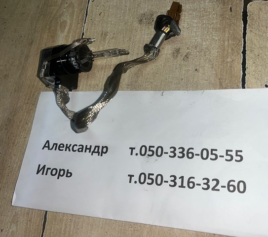 HONDA 33116ST7003 Лампочка ксеноновая в наличии Павлоград