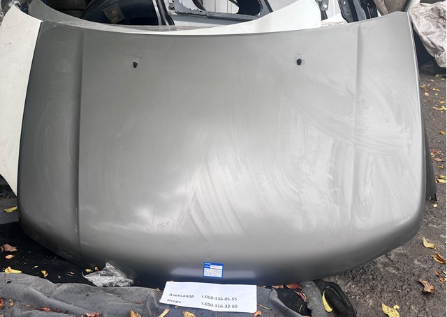 Капот двигателя 5730065811 SUZUKI