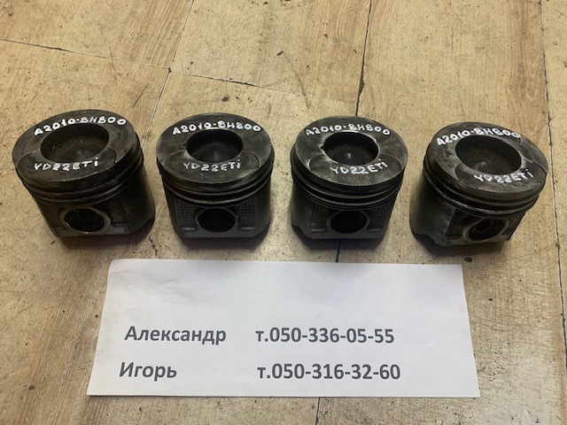 Поршнекомплект без колец A20108H800 NISSAN