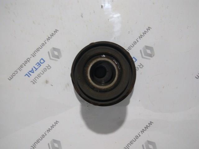 432100013R RENAULT Ступица задняя купить в Запорожье