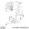 Маслоулавливатель 262502E021 HYUNDAI