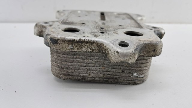 VAG 03C117021E Радиатор масляный в наличии Ровно