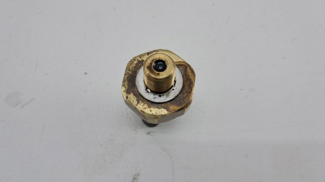 VAG 04C906060C Датчик давления масла в наличии Запорожье