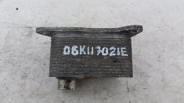 06K117021E купить Киев