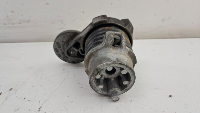 RENAULT 117506193R Натяжитель приводного ремня в наличии Запорожье
