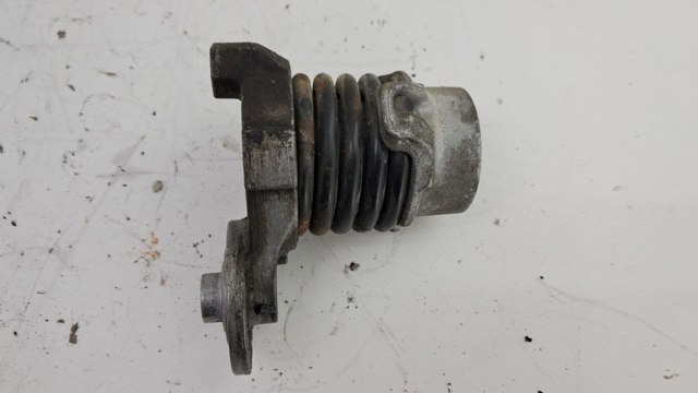 117506193R RENAULT Натяжитель приводного ремня купить в Полтава