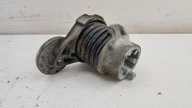 117506193R RENAULT Натяжитель приводного ремня купить в Черновцы