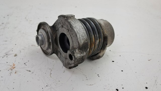 RENAULT 117506193R Натяжитель приводного ремня в наличии Житомир