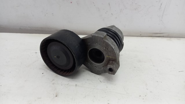 RENAULT 117506193R Натяжитель приводного ремня в наличии Ужгород