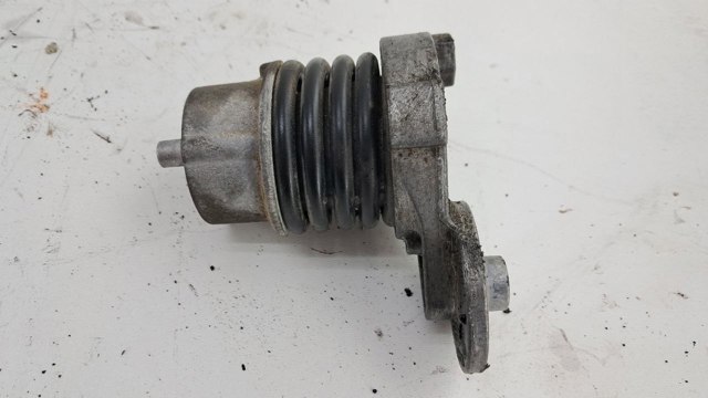 RENAULT 117506193R Натяжитель приводного ремня в наличии Винница