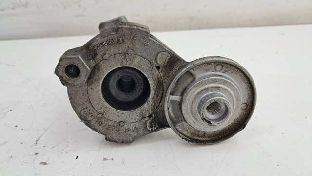 117506193R RENAULT Натяжитель приводного ремня купить в Ужгород