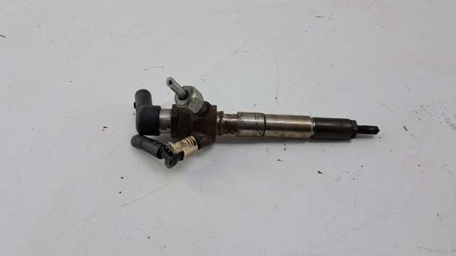 166006212R RENAULT Форсунка впрыска топлива купить в Чернигов