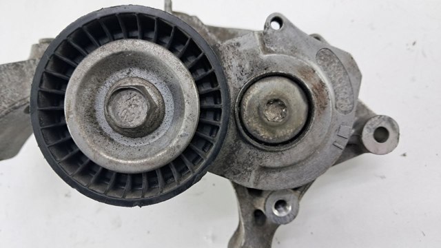 55565570 OPEL Натяжитель приводного ремня купить в Сумы