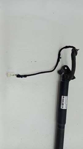 7263156 BMW Амортизатор багажника купить в Полтава