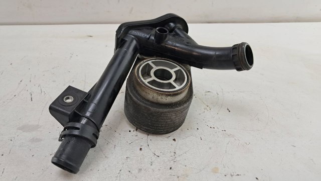 779744C Радиатор масляный (холодильник), под фильтром купить Сумы