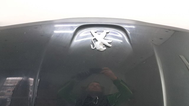 7901S3 PEUGEOT Капот купить в Сумы