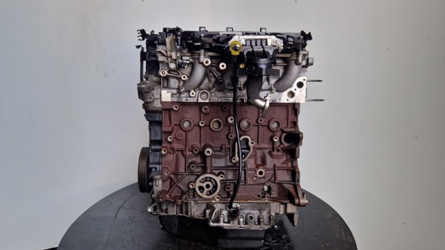FORD TXBA Двигатель в сборе в наличии Харьков
