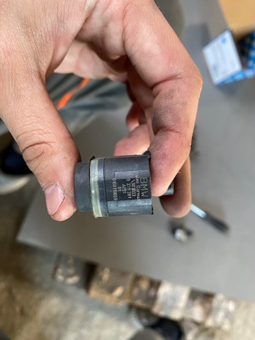 66209231281 BMW Датчик сигнализации парковки (парктроник) передний купить в Днепр
