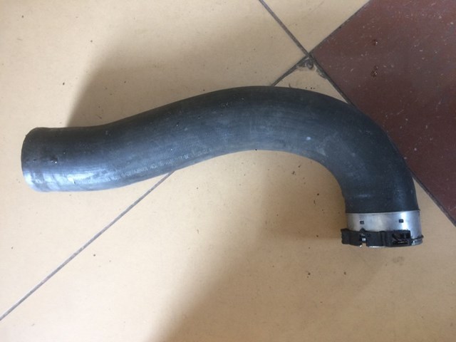 8200730589 RENAULT Патрубок интеркулера купить в Ирпень