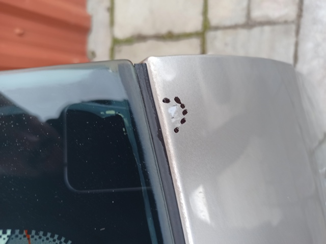 VAG 6Y9827023K Дверь задняя (багажная 3/5-я (ляда) в наличии Полтава