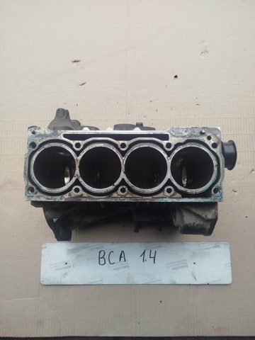 Двигатель в сборе BCA VAG