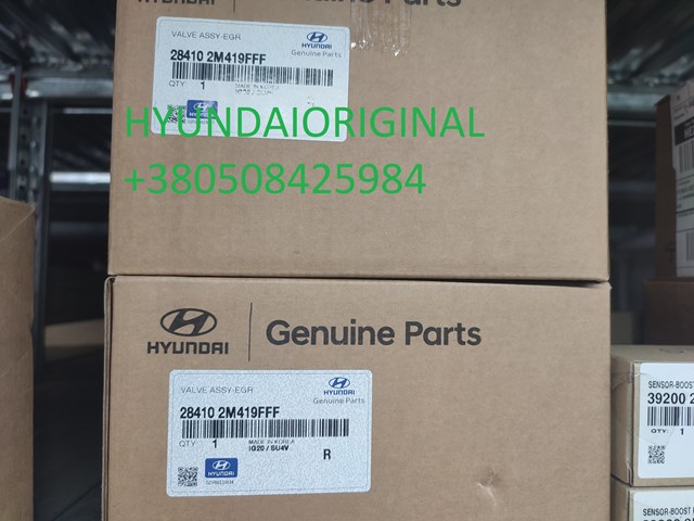 HYUNDAI 284102M419FFF Клапан EGR рециркуляции газов в наличии Николаев