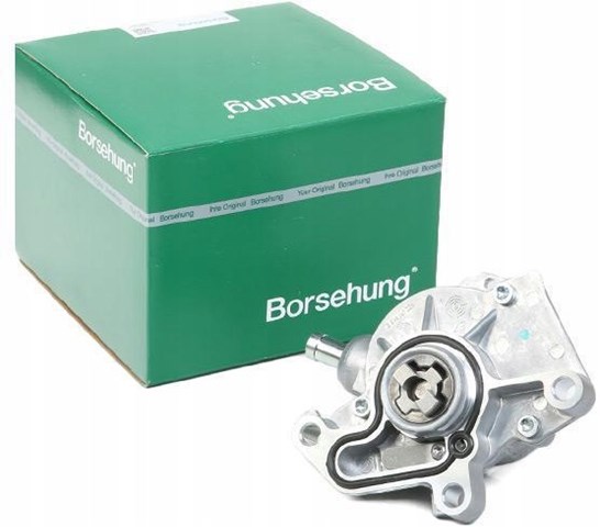 BORSEHUNG B18801 Вакуумный насос в наличии Днепр